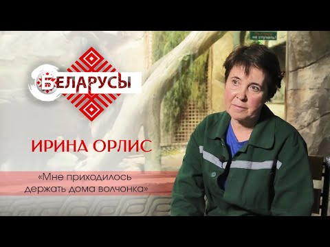 Видео: Жизнь зоопарка изнутри глазами зоотехника: все «за» и «против» содержания животных в неволе