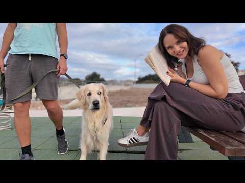 Видео: Узнает ли меня мой золотистый ретривер на улице?