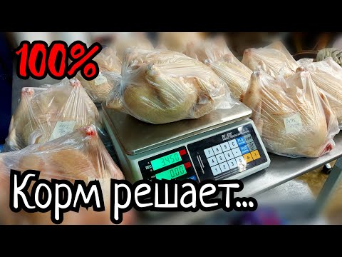 Видео: Чем кормить бройлеров для ЛУЧШЕГО РЕЗУЛЬТАТА? Экономим и зарабатываем!