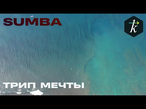 Видео: Сумба-Юмба Трип Мечты