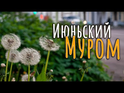 Видео: МУРОМ: монастыри, заброшки, улочки.