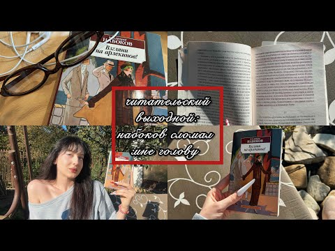 Видео: «взгляни на арлекинов» ||  мои смешные умозаключения 