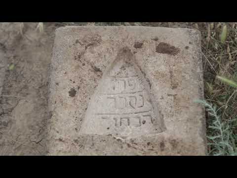 Видео: На родине предков