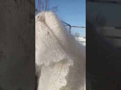 Видео: Пуховая красота