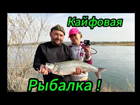 Видео: Часть-1,РЫБАЛКА  НА ЖЕРЕХА В ОКТЯБРЕ ! РЕКА ИЛИ, КАЗАХСТАН!