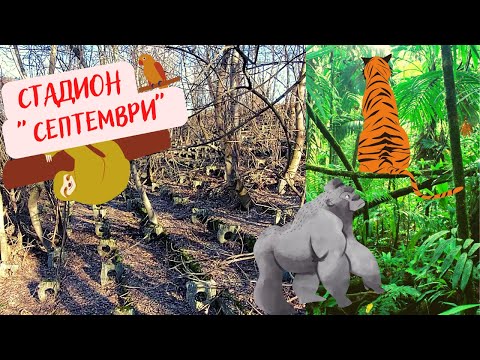 Видео: УЖАС! СТАДИОН или ДЖУНГЛА? - КАДРИ на "СЕПТЕМВРИ" в СОФИЯ