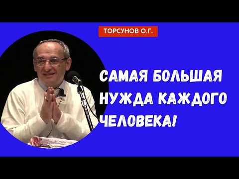 Видео: Самая большая нужда каждого человека! Торсунов лекции