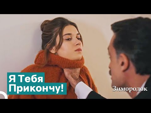 Видео: Сейран Испытала Насилие От Отца | Зимородок