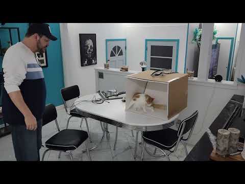 Видео: Заболели? Миру всё равно. Вставайте.