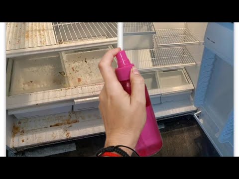 Видео: Состав наливаю ХОЛОДИЛЬНИК ОЧИЩАЮ #совет Плесени, Жира и Грязи БОЛЬШЕ НЕТ!