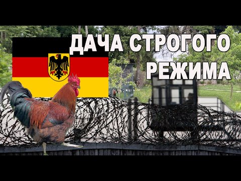 Видео: Хватит гадить, где попало! Радикальные меры. Обслуживание гриля WEBER. Готовим в смокере.
