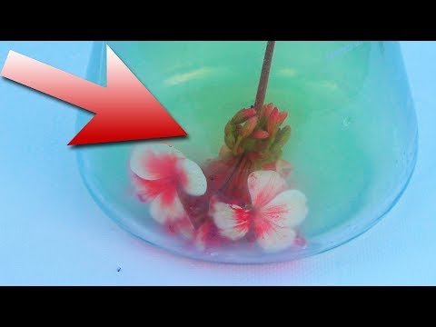 Видео: Хлор - ГАЗ, ОЧИЩАЮЩИЙ ВОДУ!