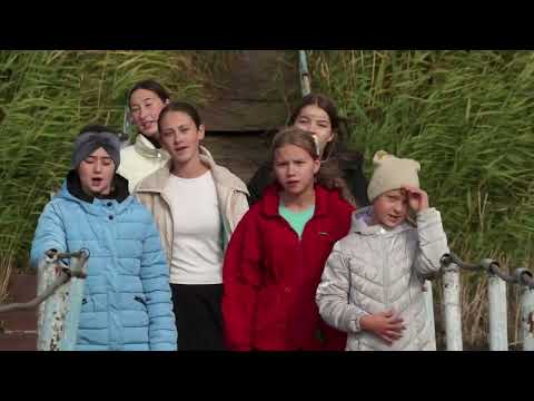 Видео: Плачет дерево (Как прикрыта пышной короной пустота )