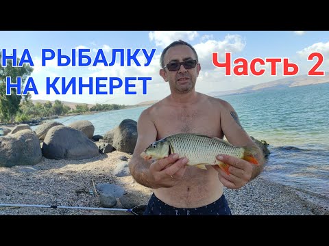 Видео: НА РЫБАЛКУ НА КИНЕРЕТ 2 ЧАСТЬ