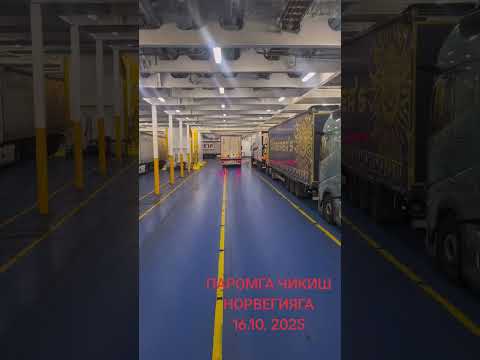 Видео: Паромга чикиш