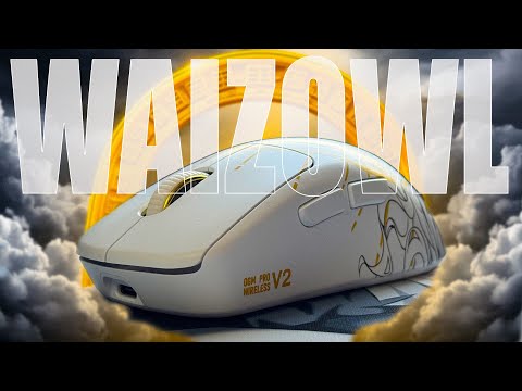 Видео: ЛУЧШАЯ ЭРГОНОМИЧНАЯ МЫШЬ 2025 года | Обзор на Waizowl OGM Pro v2 Zeus