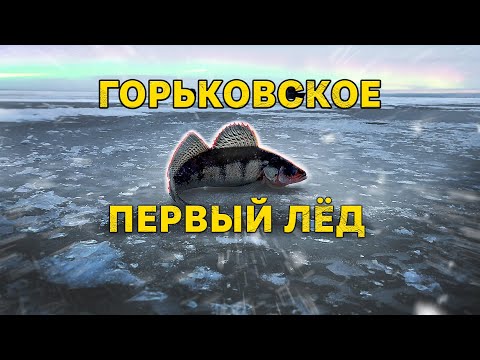 Видео: Берш клюет один за другим. Первый лед на Горьковском