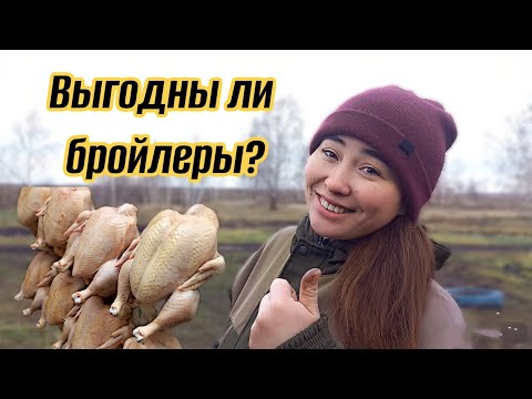 Видео: Сколько мы ЗАРАБОТАЛИ на БРОЙЛЕРАХ? Наш первый сезон