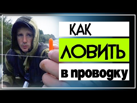 Видео: Ловля рыбы в проводку на Пшеницу/Беларусь.