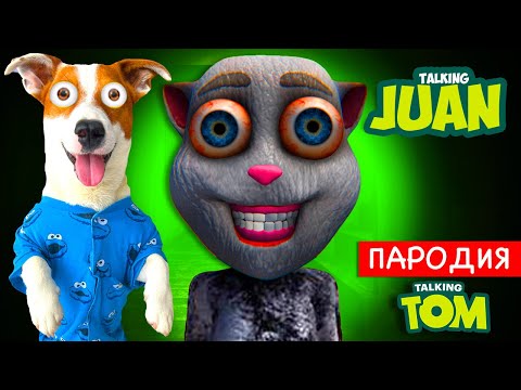 Видео: Говорящий Кот Хуан ►  Все концовки ► Talking Huan