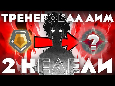 Видео: ОН ТРЕНЕРОВАЛ АИМ 2 НЕДЕЛИ... | Valorant