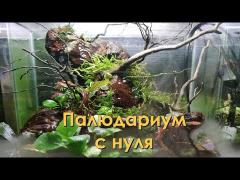 Видео: Палюдариум с нуля