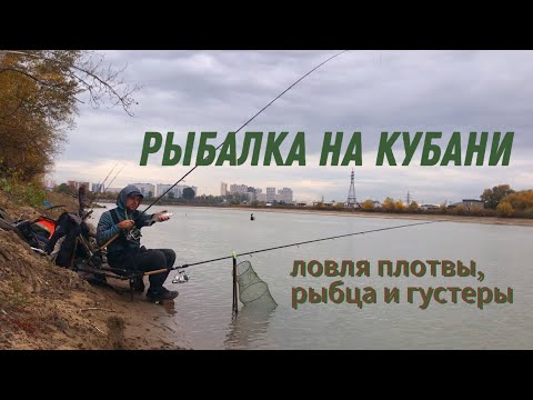 Видео: Рыбалка на Кубани. Ловля плотвы, рыбца и густеры