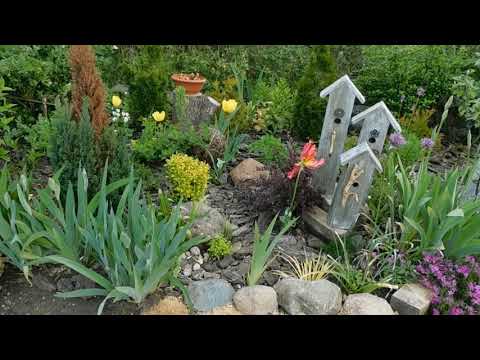 Видео: Прогулка по моему саду .Часть первая.Garden tour.