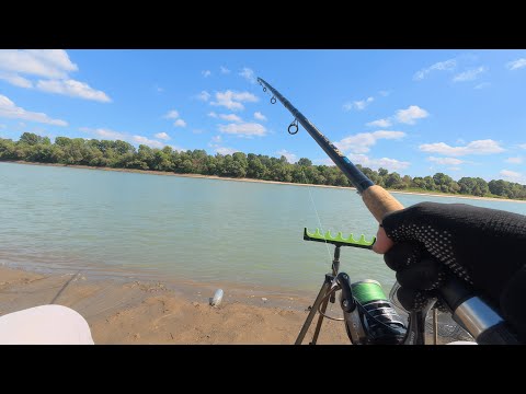 Видео: Фидерная рыбалка на Кубани в сентябре! Клюёт, но слабо!!