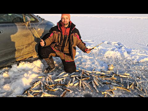 Видео: Рыбалка на комбайны 2021. Нашел много рыбы. Владивосток.