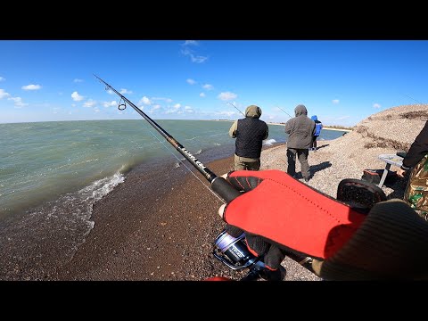Видео: СУДАЧКИ  КЛЮЁТ КАК ИЗ ПУЛЕМЁТА! Капчагай в шоке