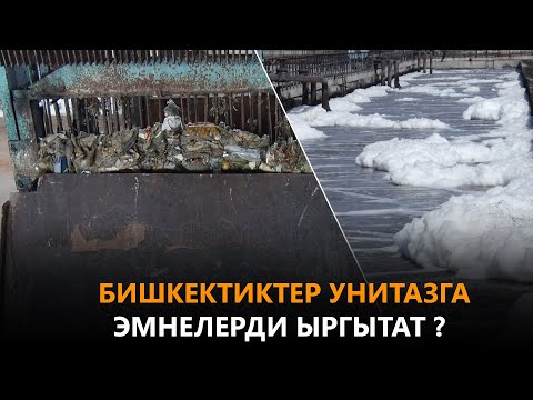 Видео: Бишкектиктер унитазга эмнелерди ыргытат?