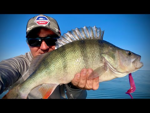 Видео: Таких МОНСТРОВ ОКУНЕЙ🐟🐟🐟 я ещё не ловил💣💣💣!!!