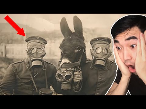 Видео: АМЬДРАЛДАА ЗААВАЛ ҮЗЭХ ЁСТОЙ 75 ТҮҮХЭН ЗУРАГ !!! (REACTION)