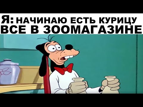 Видео: Мемы | Дневная подборка мемов 281