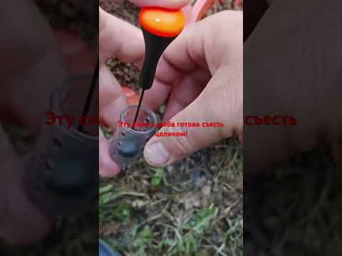 Видео: Эту снасть рыба готова съесть целиком!