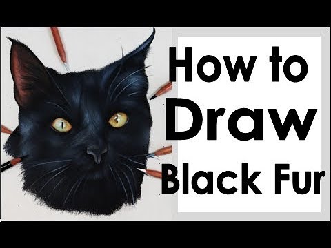 Видео: Как нарисовать чёрный мех цветными карандашами | Пошаговое руководство