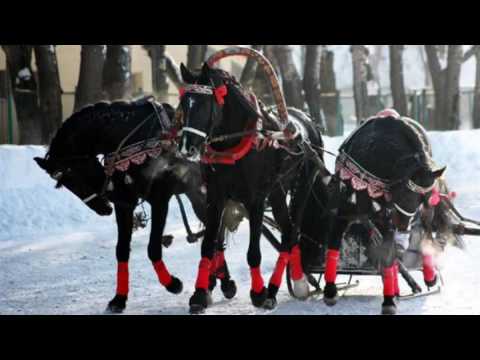 Видео: Сыпал снег буланому под ноги...