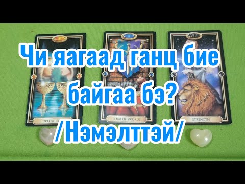 Видео: Чи яагаад ганц бие байгаа бэ? /Нэмэлттэй/