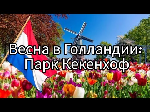 Видео: Весна в Голландии: Кекенхоф 2025 — стоит ли ехать?
