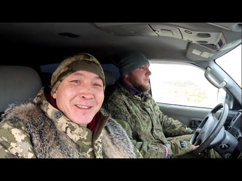 Видео: Случается и такое. Процесс охоты на барсука с ягдтерьером без взятия.