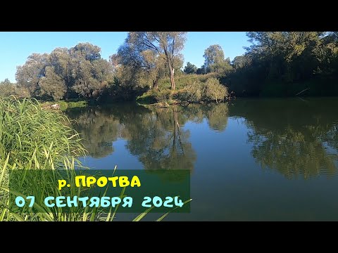 Видео: р. Протва. 07 сентября 2024 г.
