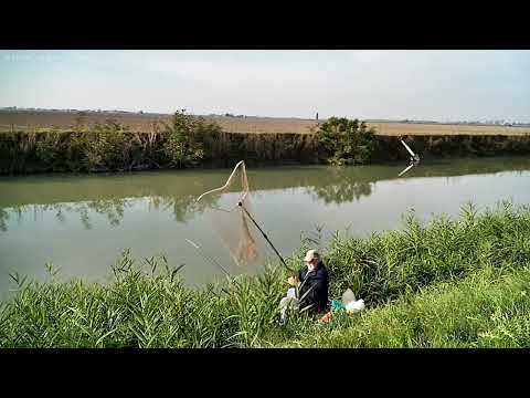Видео: Рыбалка на Рыбном месте. #рыбалка #fishing #рыбалкасдедом @Просто обо всём.