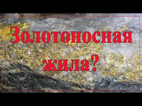 Видео: Золотоносная жила?