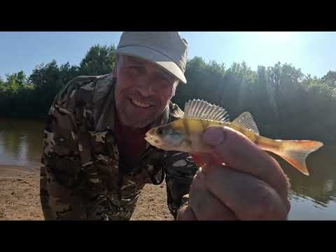 Видео: Кенворт   -Т660.  А теперь на рыбалку на велосипеде