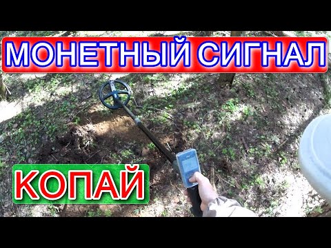 Видео: НЕ ДЕЛАЙ ТАКИХ ОШИБОК! DEUS ПОКАЗАЛ МОНЕТНЫЙ СИГНАЛ ПРИ СКОРОСТИ 0!  ЭТО ДАЖЕ НЕ СИГНАЛ! ЧТО ЖЕ ЭТО?