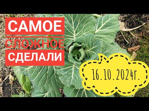 Видео: Ремонт бани/Учусь пилить#влог#сибирь#сибирь#жизнь#ремонт#village#siberian