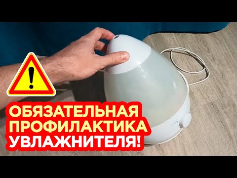 Видео: ⚫ ЭТО ДОЛЖЕН делать КАЖДЫЙ ВЛАДЕЛЕЦ УВЛАЖНИТЕЛЯ ВОЗДУХА!!