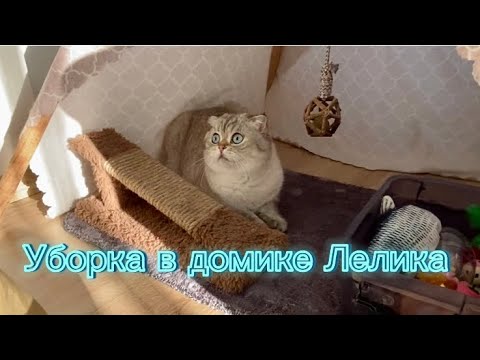Видео: Уборка у Лелика (полная версия)