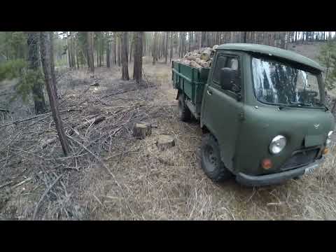 Видео: Ездил за валежником. Неожиданная встреча с подписчиком.